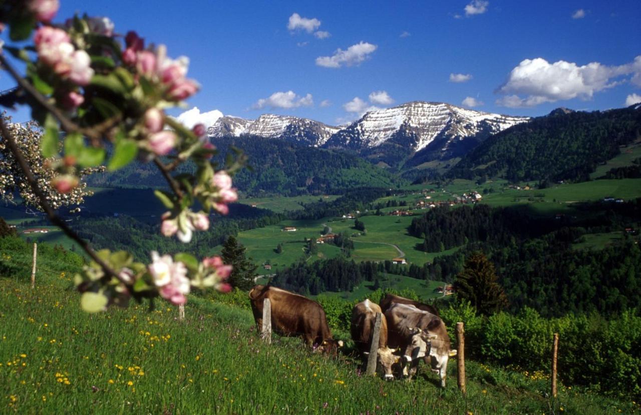 Fewo "Staufen Lodge" โอเบอร์สเทาเฟิน ภายนอก รูปภาพ